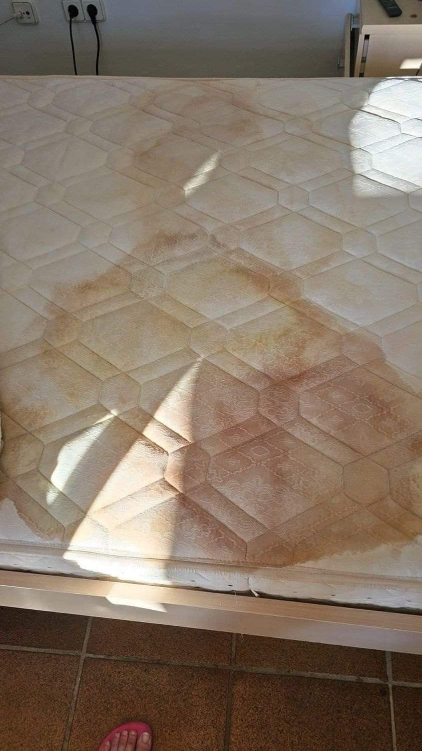 487682505 684709974514308 636799621877117955 N