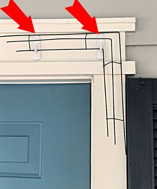 487701306 122185827110279931 4324282910300378999 N