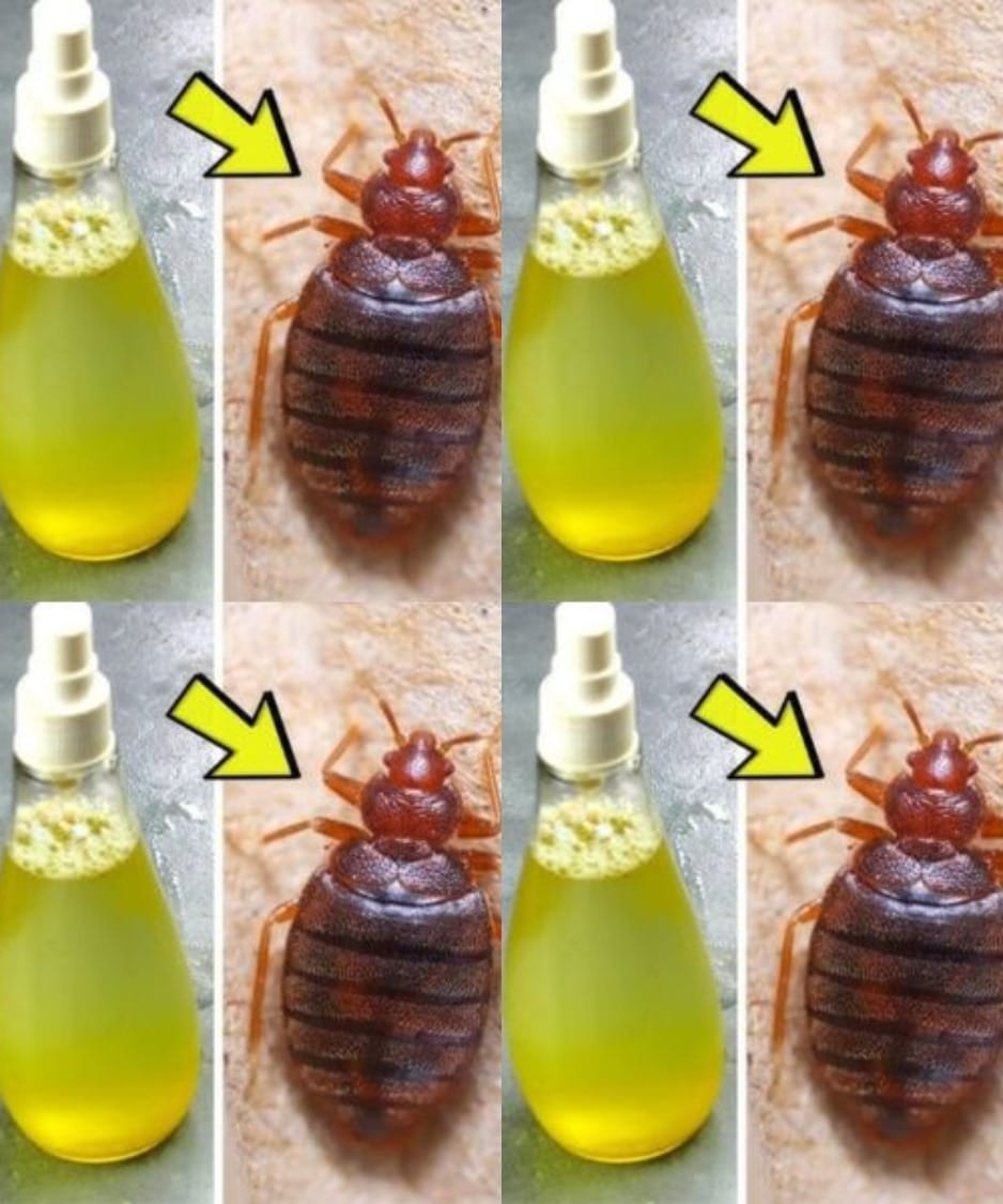 487742224 684858674499438 2502858189539756665 N