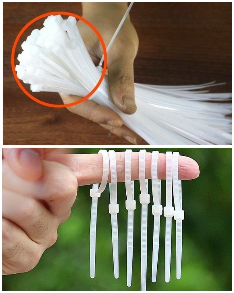 487762258 684872197831419 5518151384260822871 N