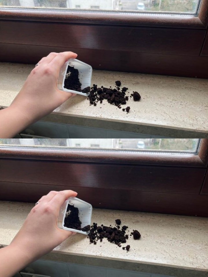 487870414 685521611099811 6392726678075421867 N