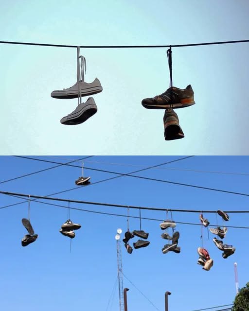 487925221 122185839842279931 7765204194668940911 N