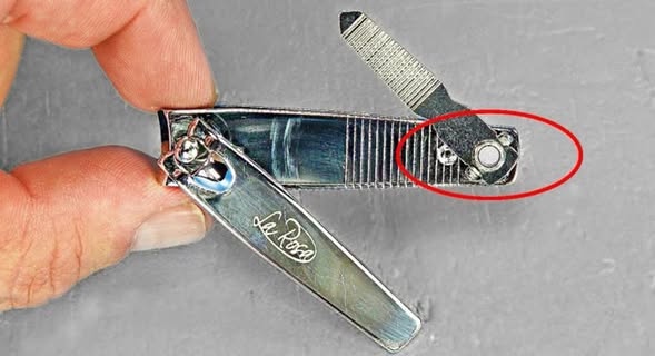 488205925 684857834499522 3708049929439343829 N