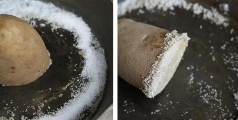 488237461 684874861164486 6549461672877202680 N