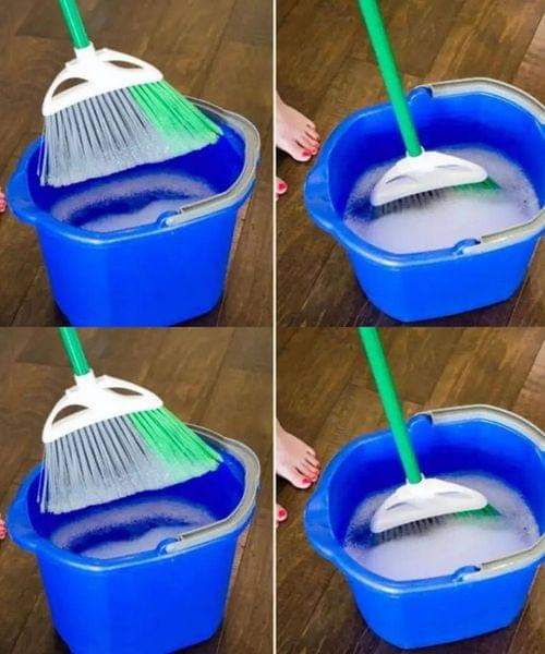 488238509 684868024498503 3731263781988707752 N