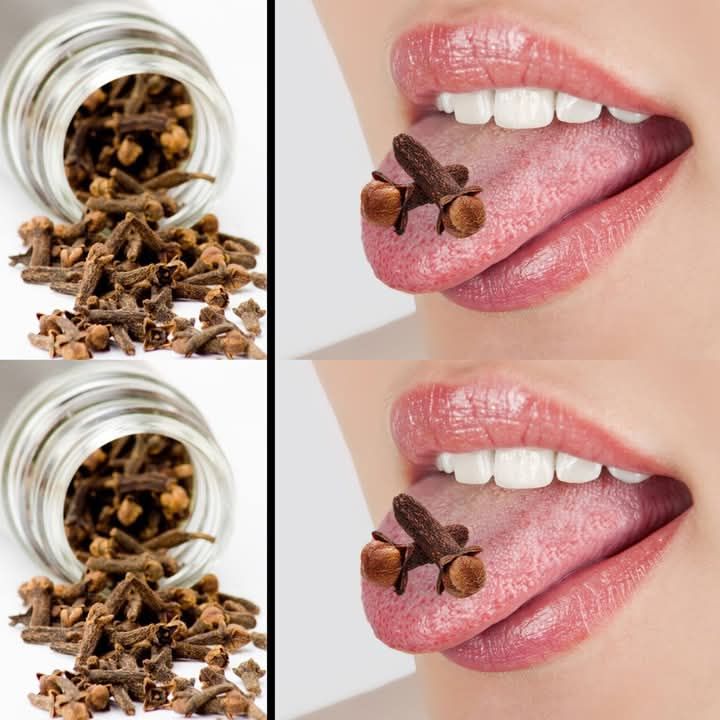 488245772 684860854499220 4792248806817904469 N