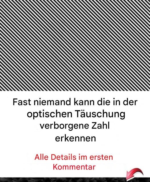 488363306 122186795498279931 3981436895343030824 N