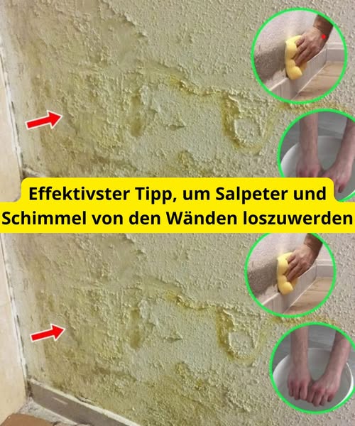 488391156 122185843070279931 6480184212265382923 N