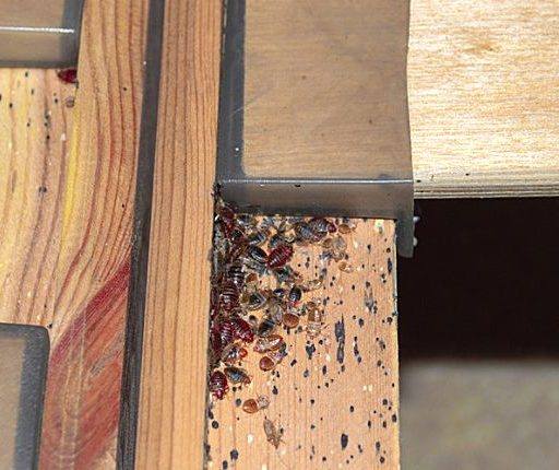 488484088 685521377766501 8942532286038294437 N