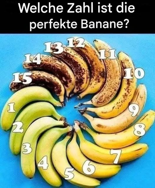 488705166 122186809328279931 183410172677224271 N