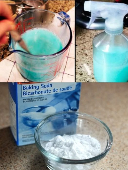 488883874 122186357882279931 5986507810985987930 N