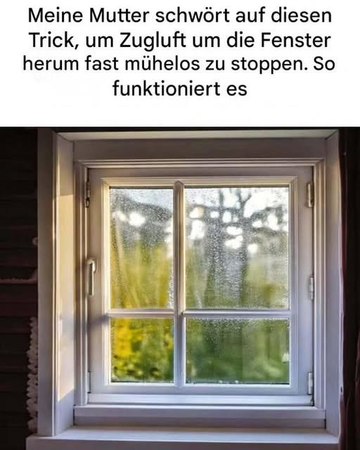 488886337 122186407484279931 2544657440815704300 N
