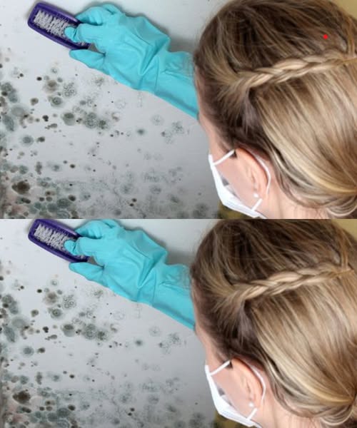 488892779 122187112382279931 4871762268823574910 N