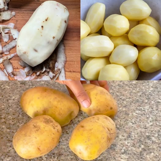 488903122 122187021974279931 4677512303078608024 N