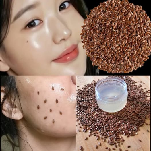 488908635 122187016556279931 5701163413976646765 N