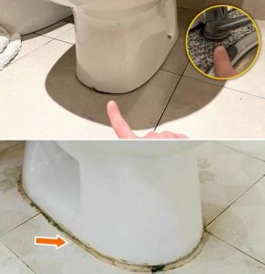 488908894 122187215186279931 2113520456960587901 N