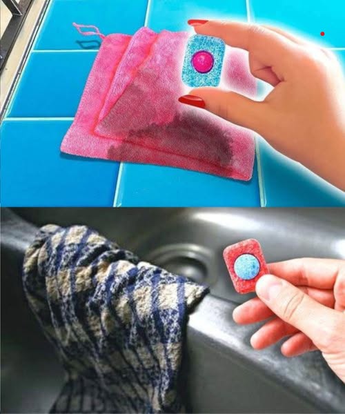 488909555 122187243170279931 6350177663442265550 N