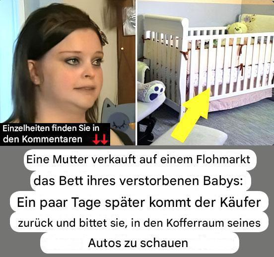 488976418 122187201506279931 2738591844338917240 N