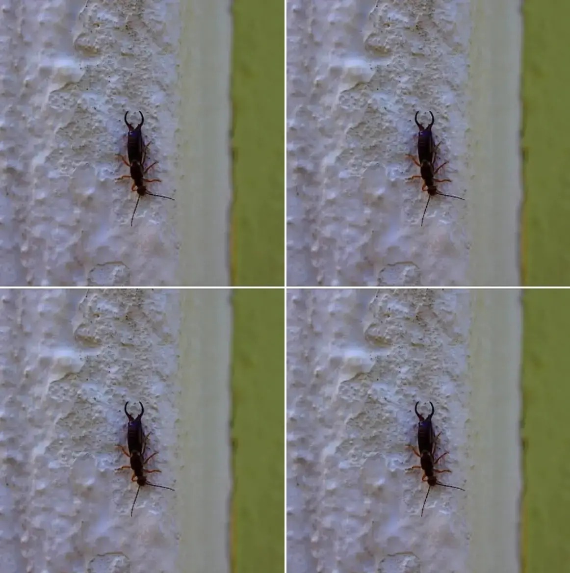 489223832 689325180719454 7623494846918824241 N