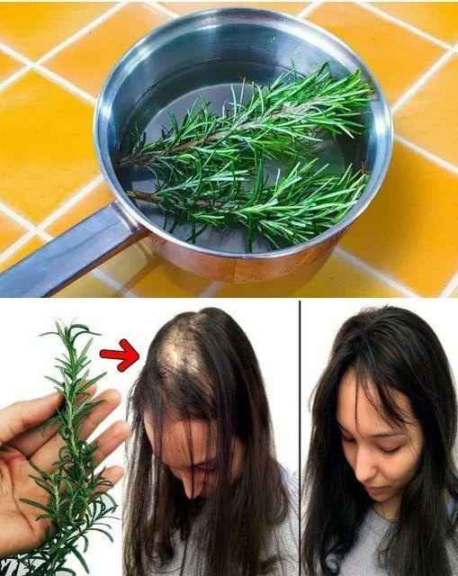 489233892 122186946050279931 9108809561970514072 N