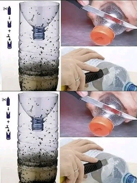 489292742 692188273766478 4069485797571758377 N