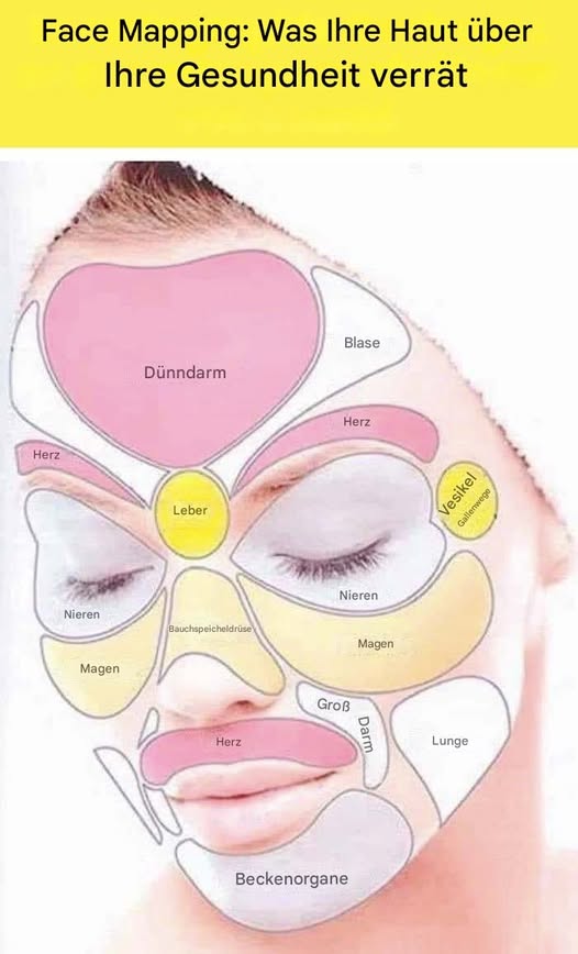 489296990 122187417800279931 5336970460409426450 N