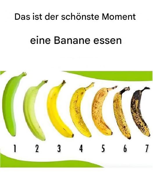 489465471 122186840156279931 3605604521068909257 N
