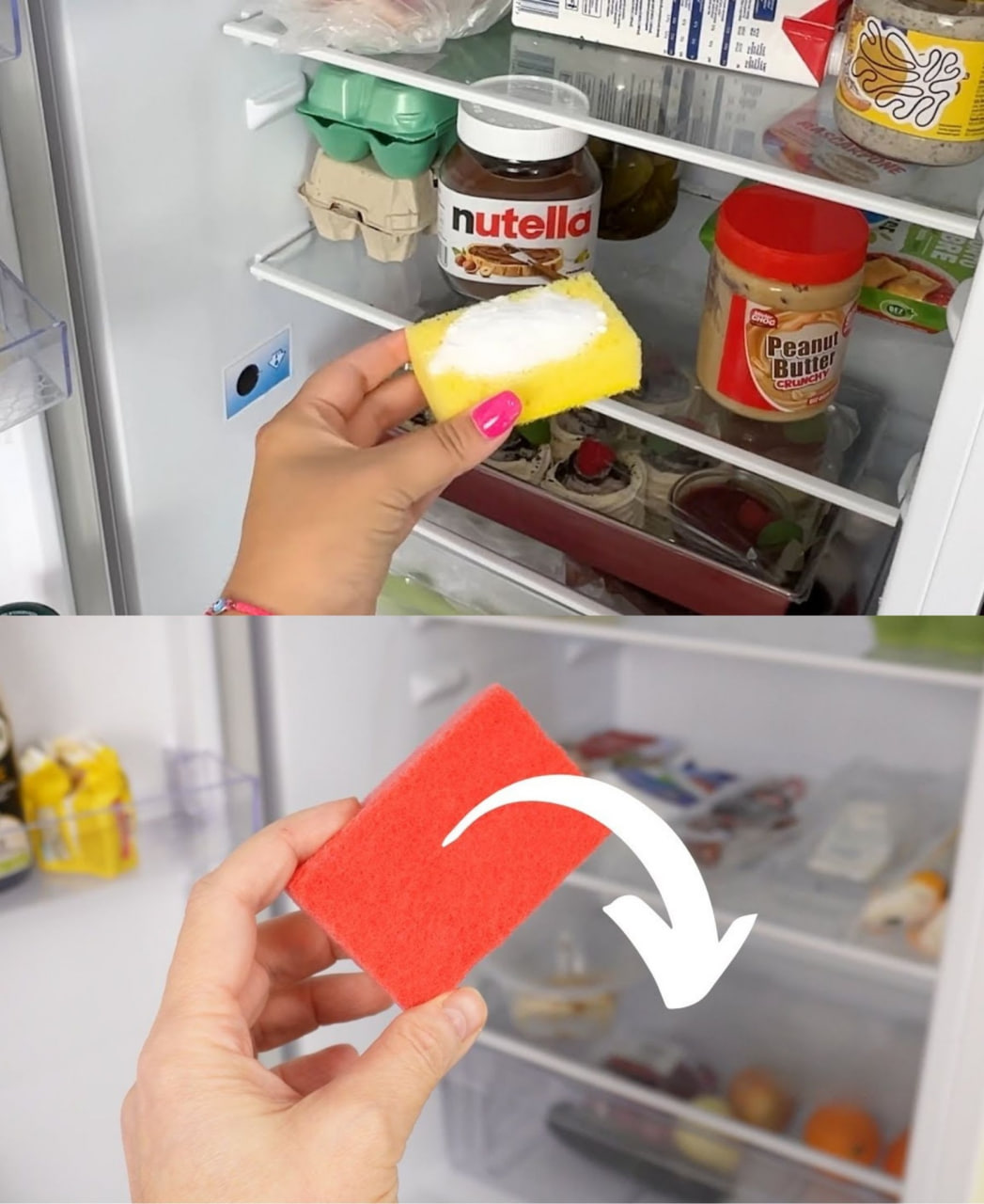 489505662 690967010555271 4953516913198636415 N