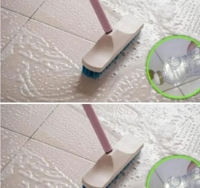 489759001 690783880573584 8488558635039412898 N