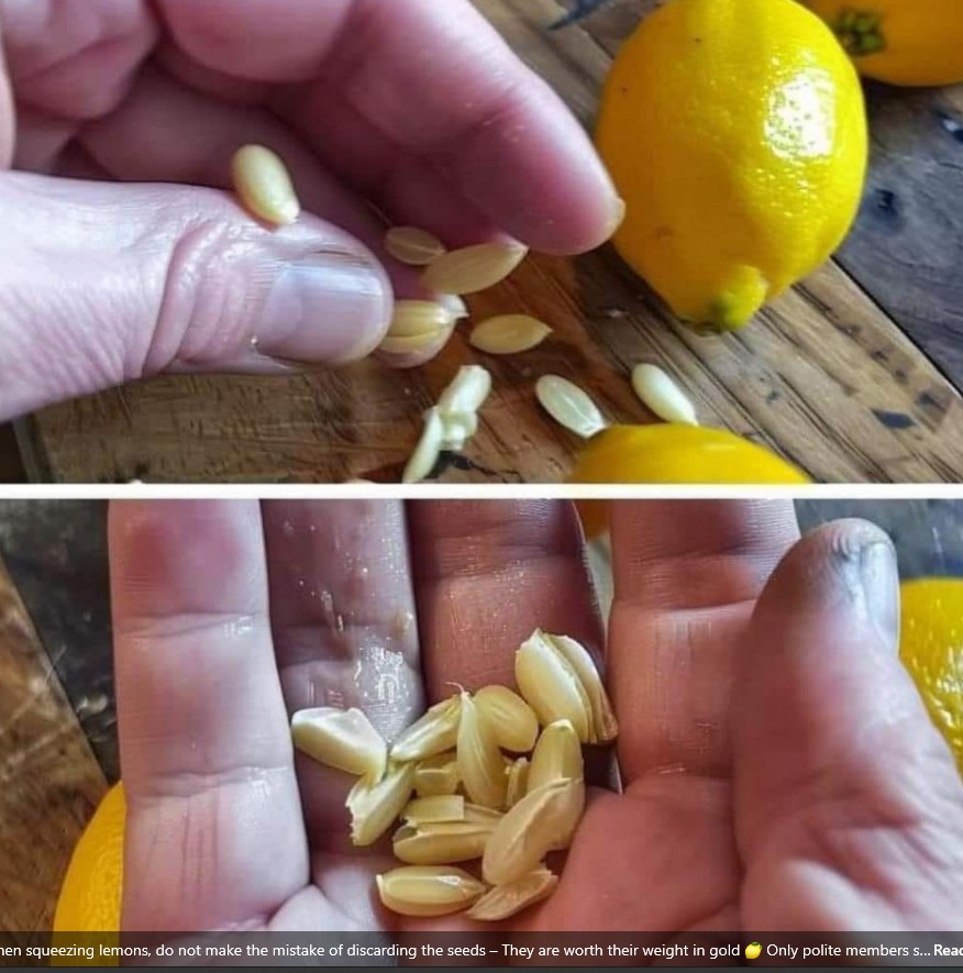 489789399 693991863586119 2704143223661780817 N