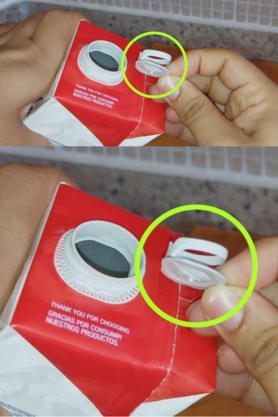 489871110 690668320585140 4354752200942456458 N