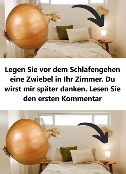 489916919 122187971444279931 4650007753150116553 N