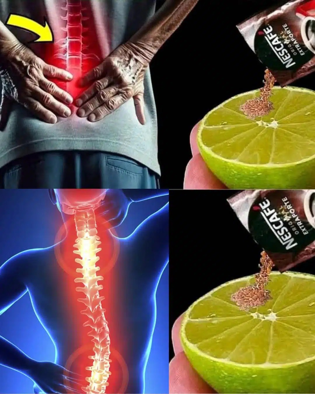 490084497 693730693612236 724253420527351760 N