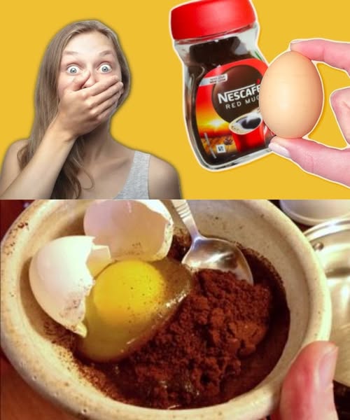 490126875 694230663562239 3549502979052450476 N