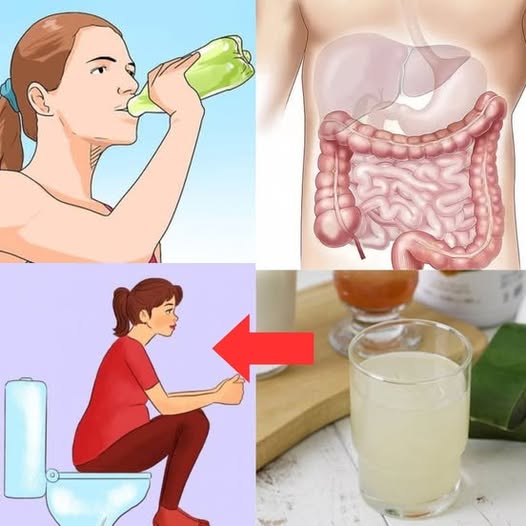 490159746 122187793028279931 9069256913105404663 N