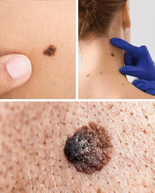 490172972 122188025240279931 2886033070500335858 N