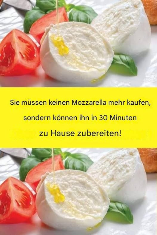 490215904 122188799612279931 8561863618209557619 N