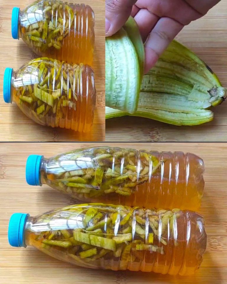 490240371 694032050248767 5402697451898430255 N