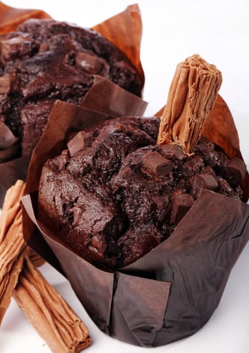 490270436 122188056122279931 1157548020552634041 N