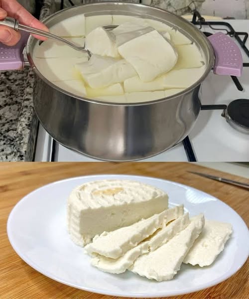 490799632 122188804742279931 6448217563297881364 N