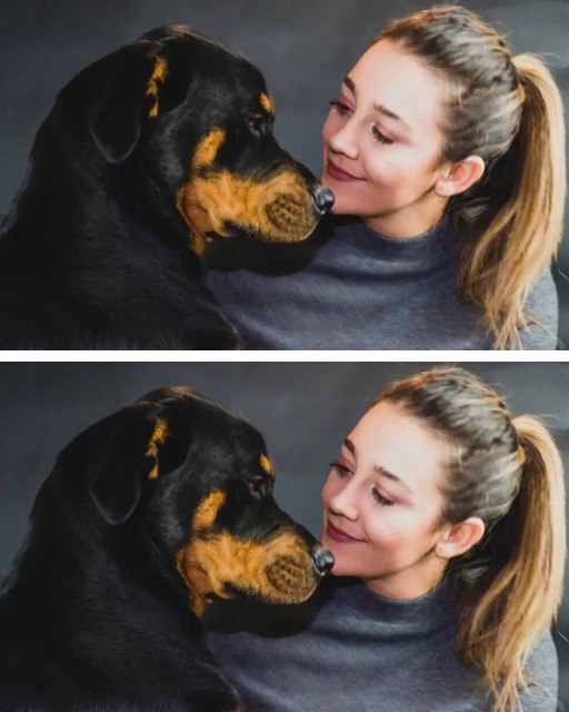 490832216 122188992458279931 3751863943983778636 N