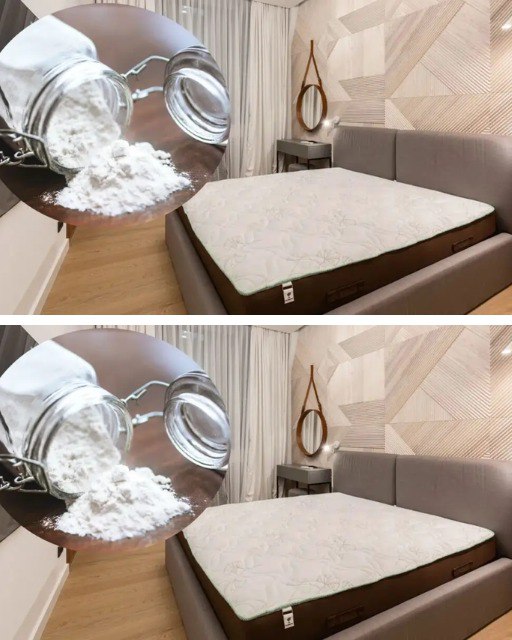 490955941 122188990118279931 723795065365385083 N (1)