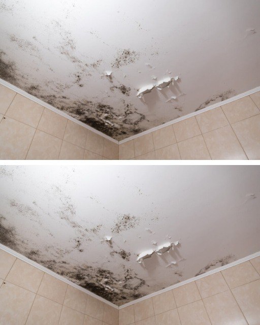 491042275 122188984946279931 3361565992726404398 N