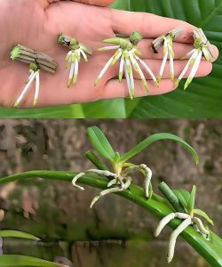 491142080 122189003084279931 7229472475316568846 N