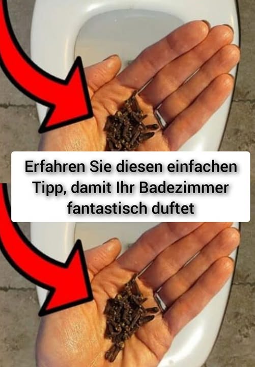 491291713 122189449760279931 3945495187132492250 N