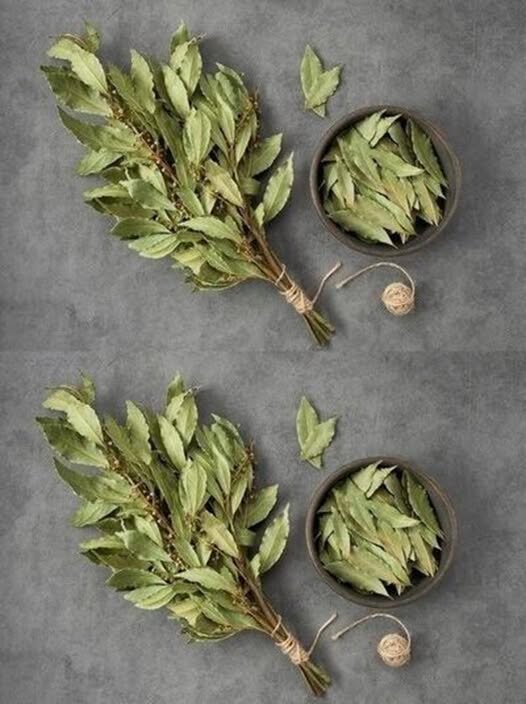 491471258 122188475702279931 6143824399872454709 N