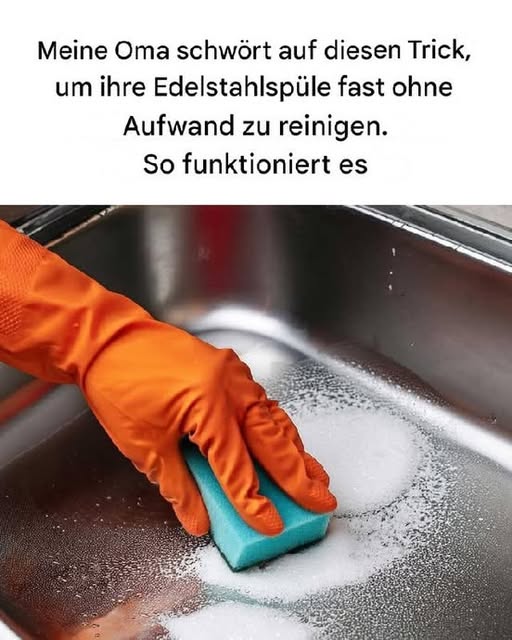 491590127 122188667324279931 175554212468335547 N