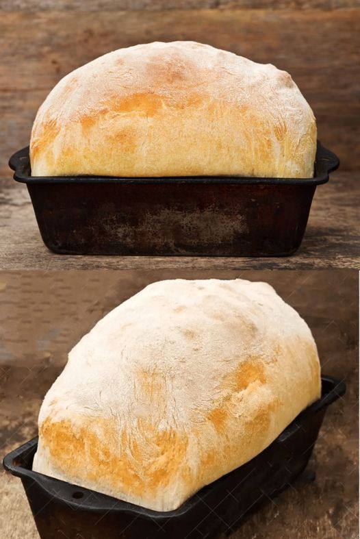 491643693 122189338796279931 3372677069937010041 N