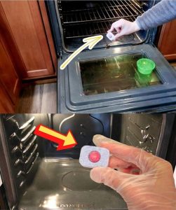 491911291 122188666958279931 8148607501078668665 N