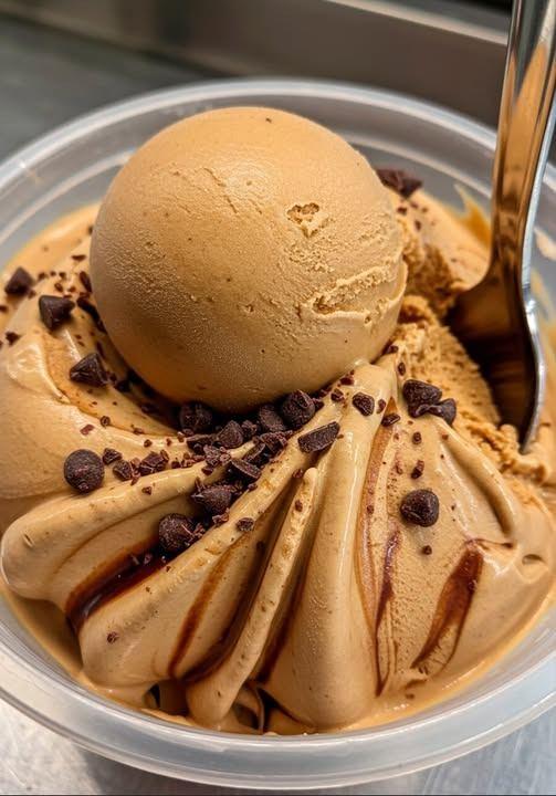 491936270 122189578214279931 3731374252237577729 N